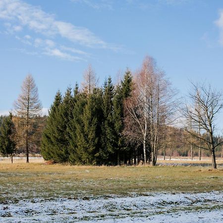 Alicjowka - Domek Marciszow المظهر الخارجي الصورة