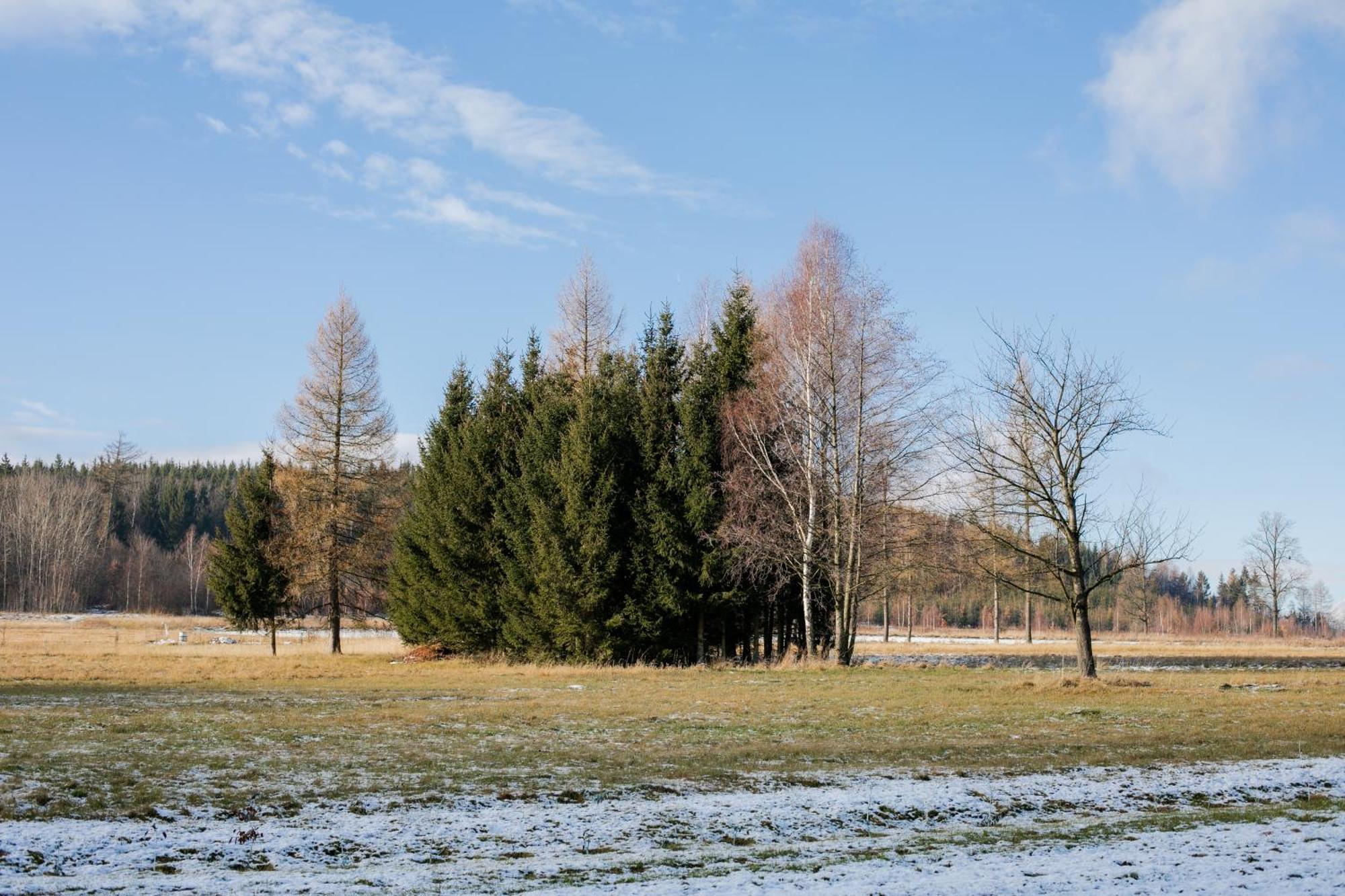 Alicjowka - Domek Marciszow المظهر الخارجي الصورة